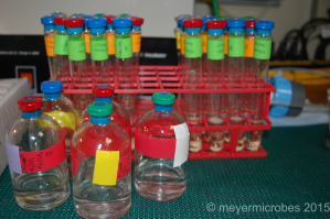 Culturing anaerobic bacteria at sea from hydrothermal fluids collected by the ROV Jason.