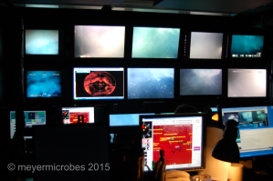 The control room, watching live video from the ROV (Remotely Operated Vehicle) Jason at NW Rota Seamount. On the screens we are watching explosions of gas and particles from the actively erupting seamount.