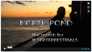 Screen Shot 2015-07-11 at 9.29.23 AM