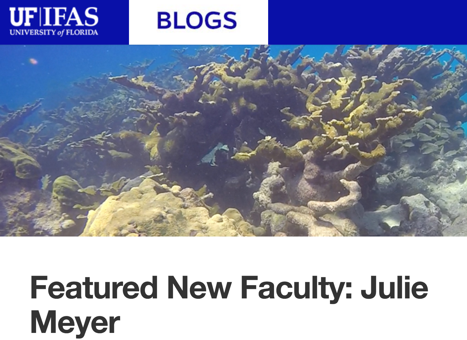 Screen Shot 2017-09-29 at 3.06.33 PM